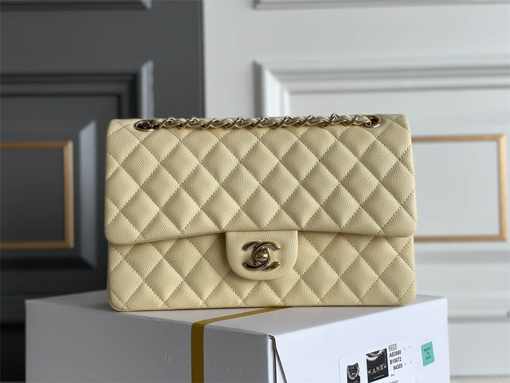 Chanel classic flap 25cm 2025 new 